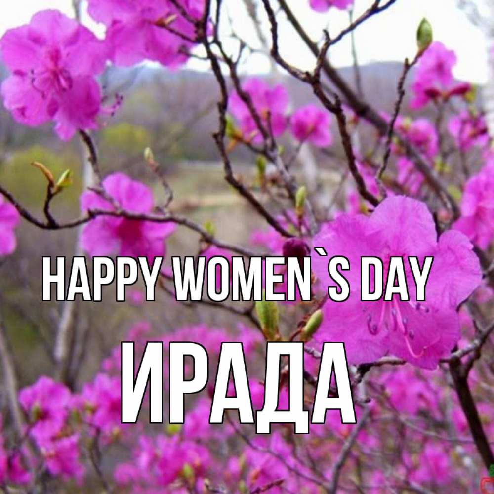 Greetings card с именем, ИРАДА happy women`s day международный женский день Greetings with text for free download 
